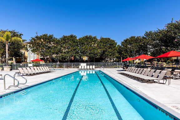 A large swimming pool with lounge chairs and umbrellas at The Woods Apartments, San Jose, 95136