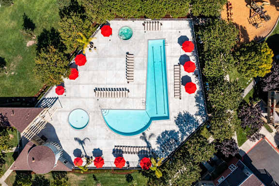 An aerial view of a pool surrounded by red flowers at The Woods Apartments, San Jose, California