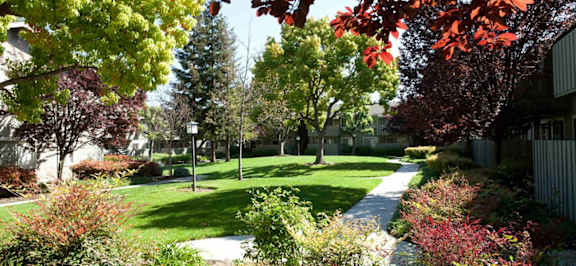 A tree-lined pathway in a park at Cherrywood Apartments, California