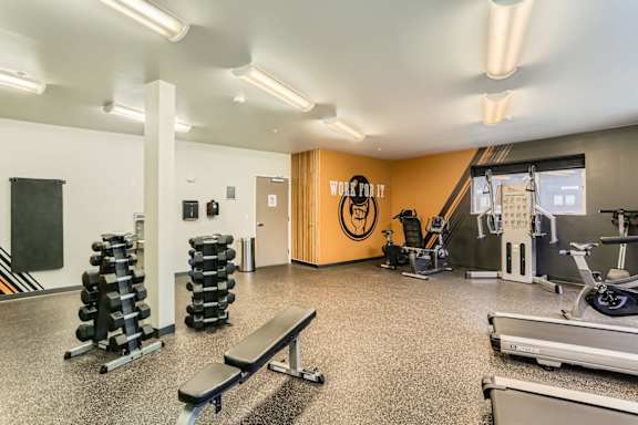 A gym with a variety of equipment including dumbbells, weight plates, a bench, and a treadmill.