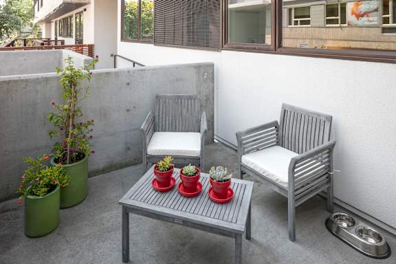 A grey patio with a table, two chairs and a potted plant.