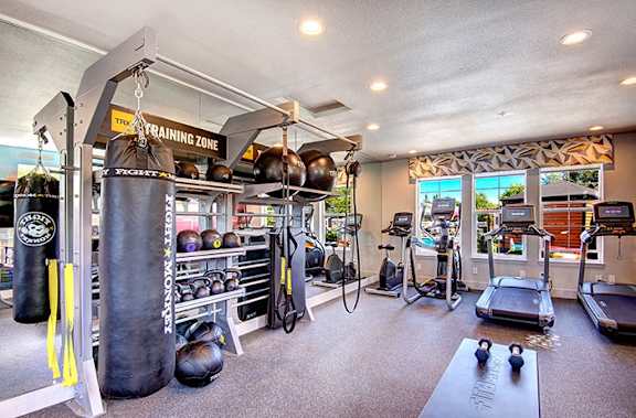 the home gym has a large punching bag and other equipment