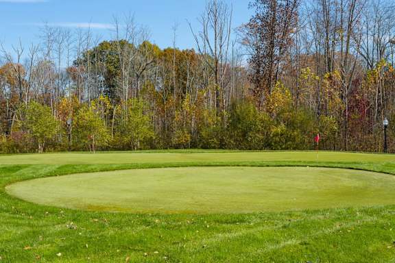 A golf course with a green and a red flag.