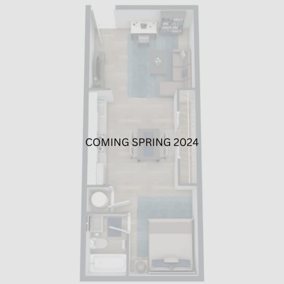 Studio & 1 Bedroom Apartments, Midtown Memphis The Courts