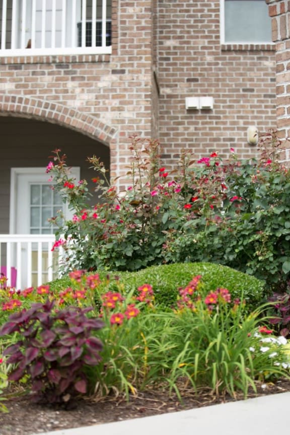 Well maintained landscaping