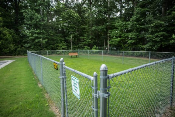 Pet park has benches to sit and watch your pet play