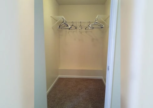 a closet with hooks and a carpet in a room