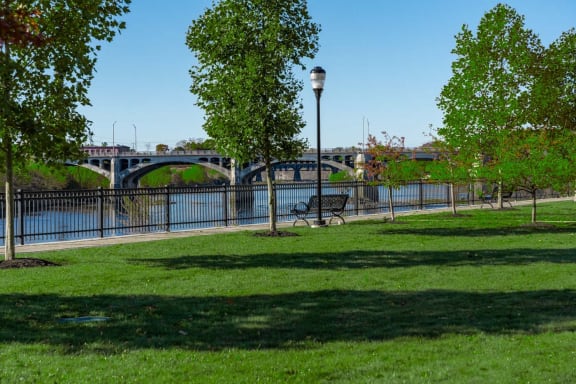 a park with a river and a bridge in the background