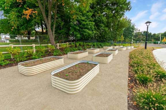 a row of white planters filled with plants in a park at Beverly Village for Living & the Arts Apartments, Beverly, 01915