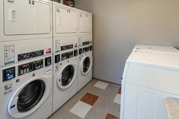 A row of washing machines are lined up in a laundry room.