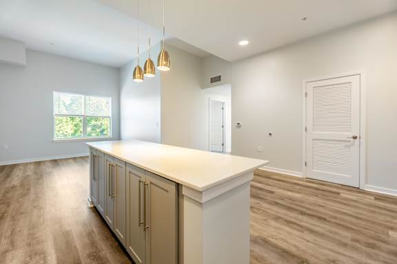 A kitchen with a counter and cabinets.