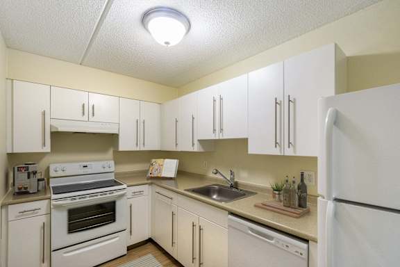 Dishwasher at North Stoughton Village Apartments in Stoughton, MA.