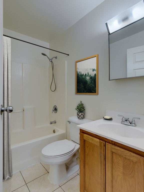 a bathroom with a toilet sink and shower at Birchwood Village Apartments, Kingston, New York