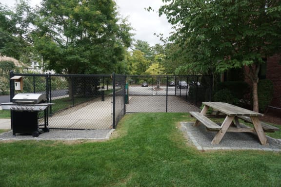 Grilling station with benches at Wilber School Apartments, Sharon, MA, 02067