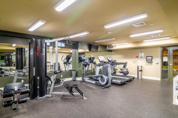 Fitness Center with Modern Equipment at Wilber School Apartments, Sharon, MA, 02067