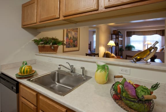 Updated Kitchens Fully Applianced Southwood Apartments.