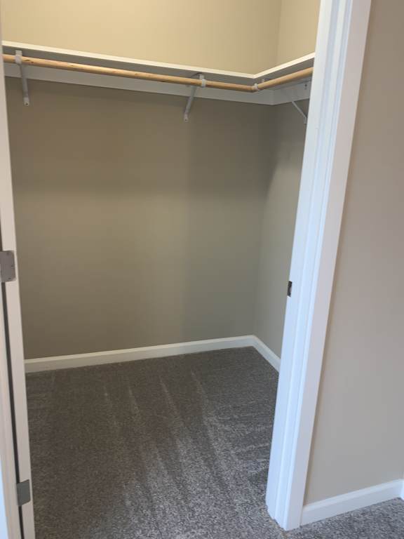 A white door is open to a room with a grey carpet.