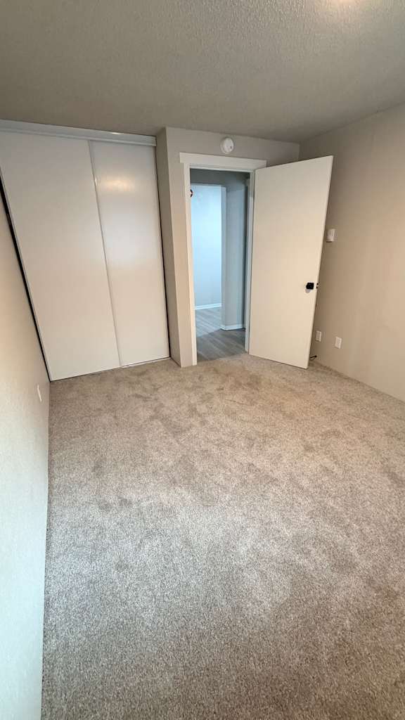 A room with a carpeted floor and a white door.