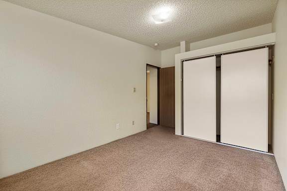 A room with a carpeted floor and a sliding door.