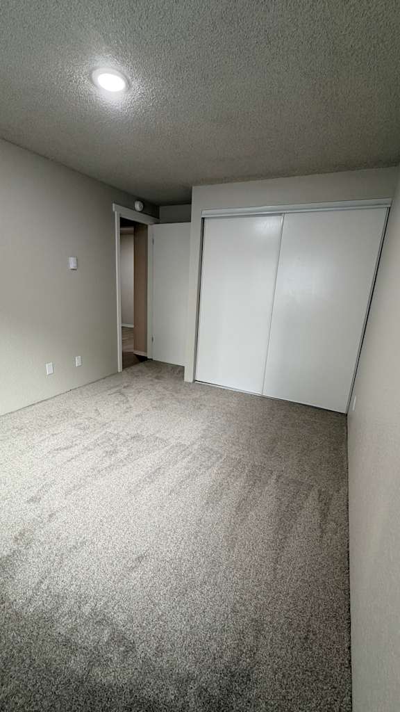 A room with a white closet and carpeted floor.