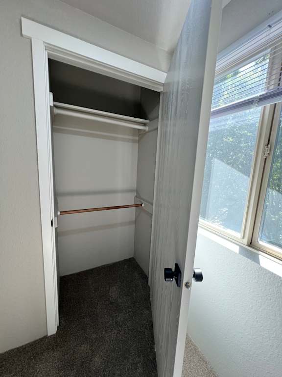 A white window with a white frame and a white ceiling with a black vent.