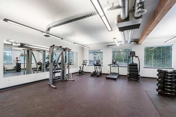 A gym with a variety of equipment including a treadmill, weights and a bench press.