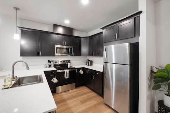 A modern kitchen with black cabinets and stainless steel appliances.