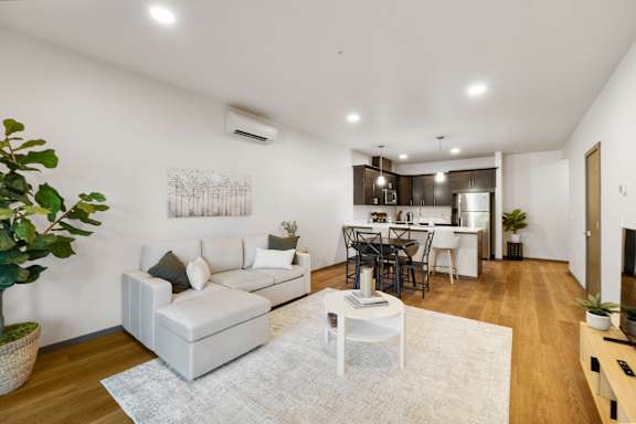 A living room with a white couch and a grey rug.