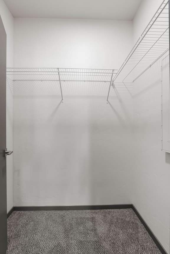 Empty walk-in closet with shelves and carpeted floor.