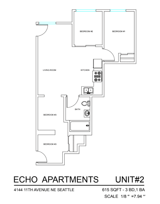 A floor plan for Echo Apartments shows the layout of Unit #2.