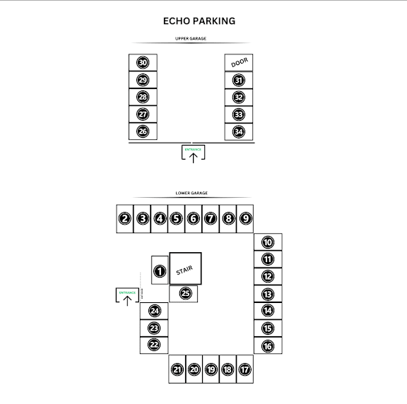 A diagram shows the layout of a parking garage with levels and a star spot.