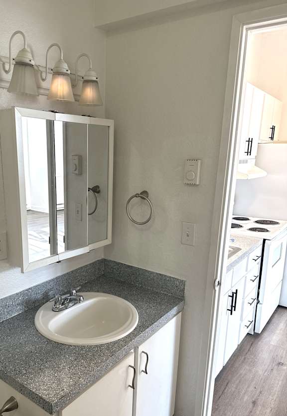 Bathroom vanity with mirror cabinet and modern lighting in Olympia WA apartment at The Elks Apartments