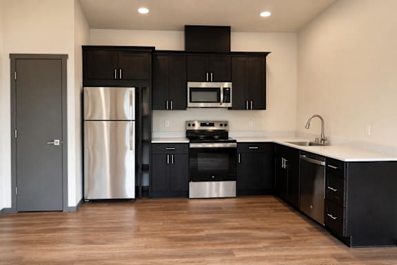 A modern kitchen with black cabinets and stainless steel appliances.