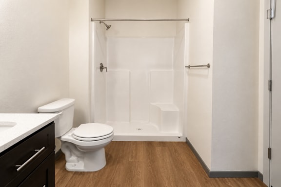A white toilet sits next to a walk-in shower in a bathroom.