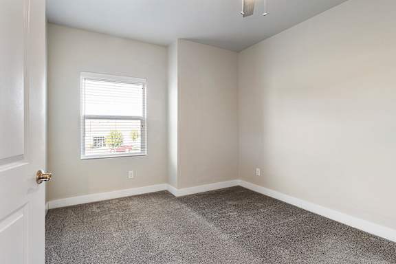 a bedroom with a carpeted floor and a window