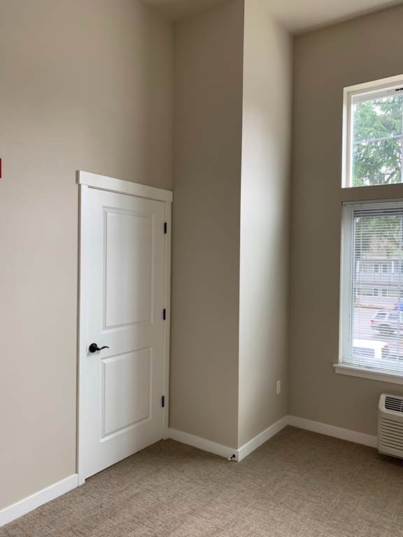 A white door with a black handle is in the corner of a room.