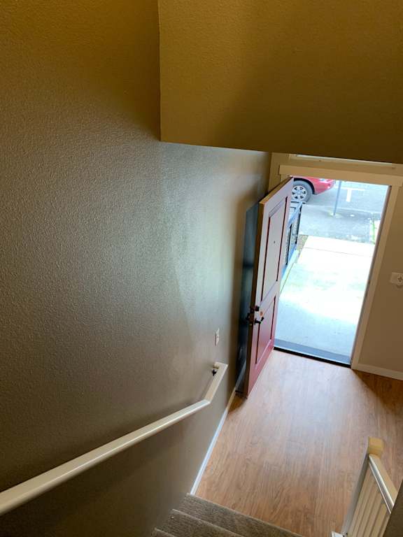 A room with a grey carpet and a red couch.