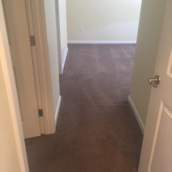 A white bathroom with a toilet and a brown wall.