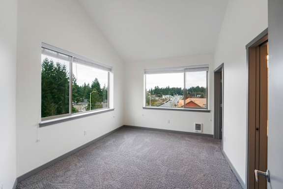 A room with a carpet floor and two windows.