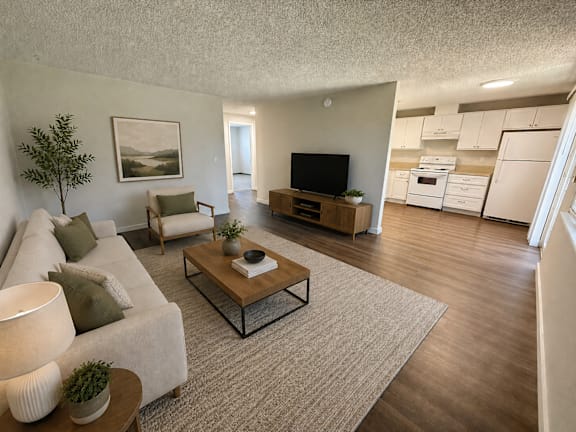 A living room with a couch, a coffee table, and a television.