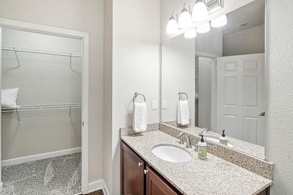 Walk-in closet in bathroom at Faulkner Flats Apartment Homes, Oxford, MS