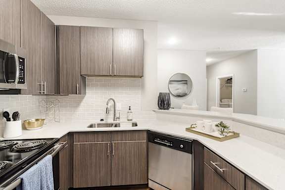 Dishwasher at Lagniappe of Biloxi Apartment Homes in Biloxi, MS