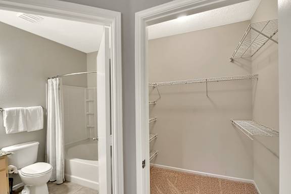 Walk-in closet at Ashford Place Apartment Homes, Mississippi