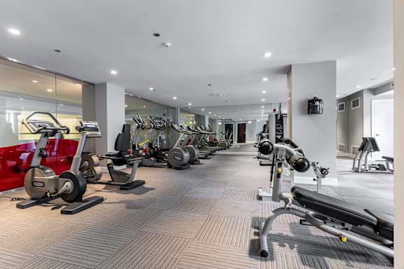 Gym with cardio machines and weights at Somerset Place Apartments, Illinois, 60640
