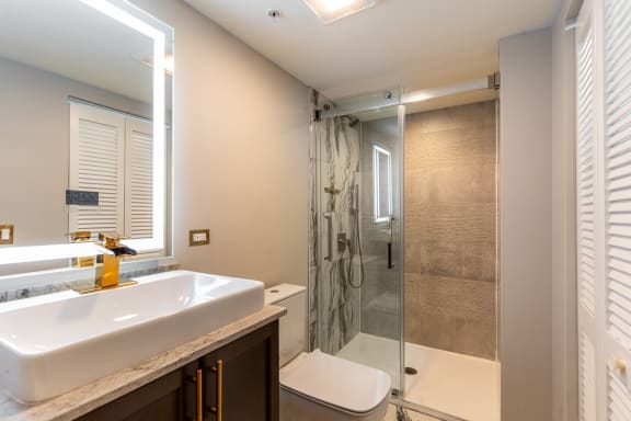 a bathroom with a sink and a shower