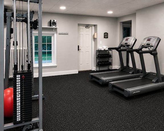 A gym with treadmills and a weight rack.