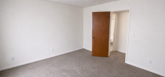 A room with a brown door and carpeted floor.