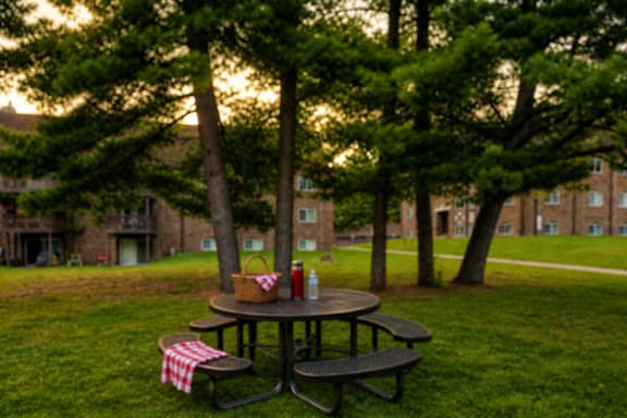 A picnic table with a red and white checkered cloth on it is set up in a grassy area.
