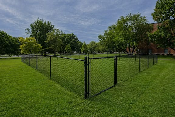A black fence encloses a green field.