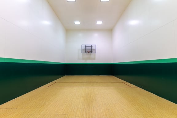 Indoor basketball court at Pickwick Farms Apartments in Indianapolis, IN 46260